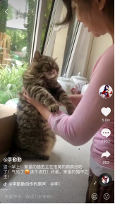 還沒(méi)聽(tīng)過(guò)斷橋鋁內(nèi)開內(nèi)倒？趕緊來(lái)圍觀